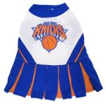 New York Knicks - Cheerleader